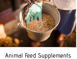 Animal Feed Supplements
