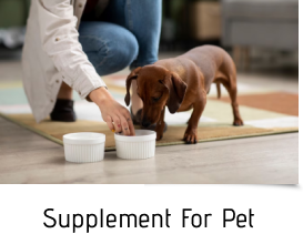 Supplement For Pet